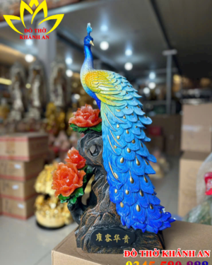 Chim Công Phong Thủy