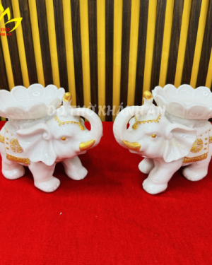 trắng